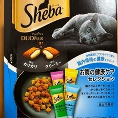 シーバデュオプラス 10本 
