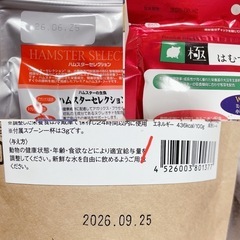 【専用ページ】ハムスターセレクション、ハムスターの極 の画像