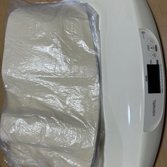 ベビースケール　nometa の画像