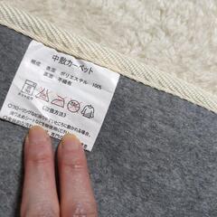 ホットカーペットの画像