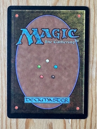 MTG 適者生存 日本語 2枚