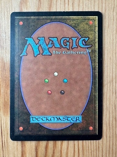 MTG 適者生存 日本語 2枚