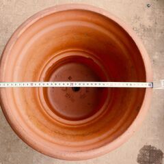 イタリアDEROMA（デローマ）製　テラコッタ　ポット　プランター　大型鉢の画像