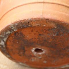 イタリアDEROMA（デローマ）製　テラコッタ　ポット　プランター　大型鉢の画像