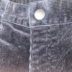 POLOハーフパンツの画像