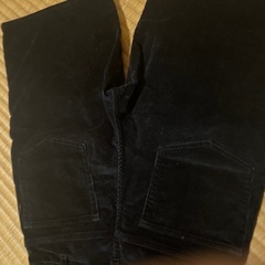 POLOハーフパンツの画像