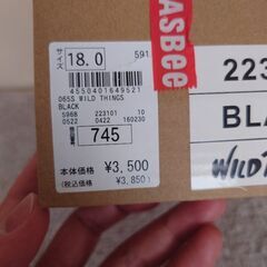 ウォーターシューズ WILD THINGS キッズ 水陸両用 18cmの画像