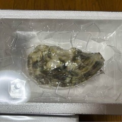 おもしろ雑貨カキキーホルダー6個の画像