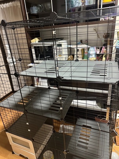 猫ゲージ
