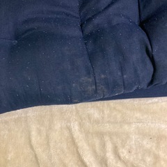 ソファーベッド(ニトリ)の画像