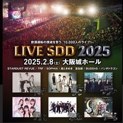 LIVE SDD 2025 ライブチケット 4枚　アリーナ席 