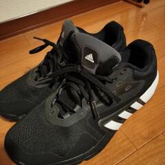 アディダス　トレーニングシューズの画像