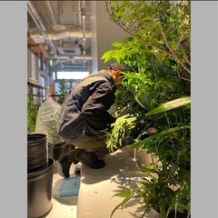 お庭の除草、剪定作業承ります‼️🌳