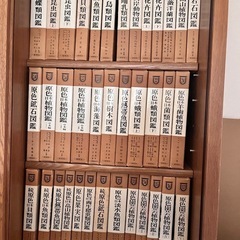 図鑑
