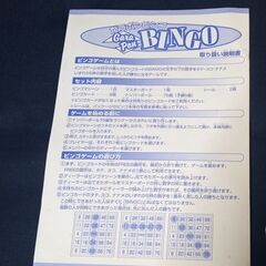 ガラポンビンゴ（ビンゴカード60枚付属）の画像