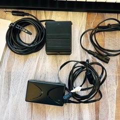 Roland JUNO-Gi シンセサイザー 【美品】【希少モデル】の画像