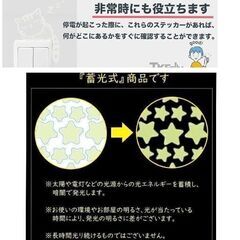 ネコちゃん/蓄光ステッカーの画像