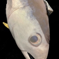 【全長約67cm】ひんやりマグロクッションの画像