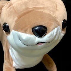 全長約85cm‼️】カワウソスーパービッグぬいぐるみ (きらら早朝