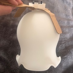 廊下，玄関灯の画像