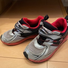 瞬足  18cm