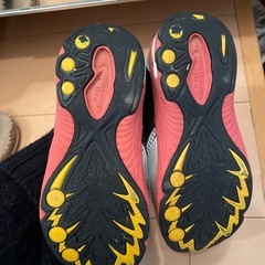 瞬足  18cmの画像