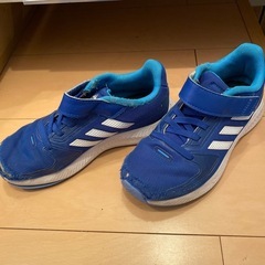 adidas スニーカー  19cm