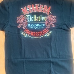 プロレスTの画像