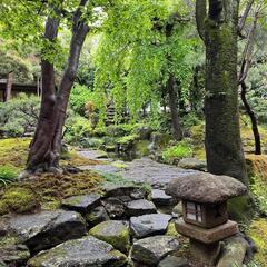 長唄三味線教室　手ぶらでお稽古♪の画像