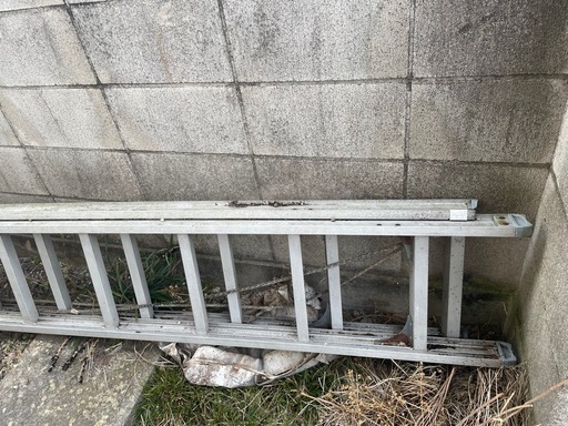 2連　2段　ハシゴ　