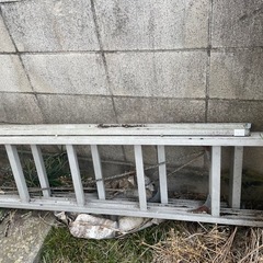 2連　2段　ハシゴ　の画像