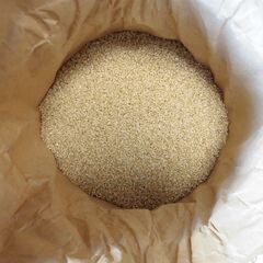 ■◎あいちのかおり　１５㎏　新米の玄米　玄米で保存して必要なとき...