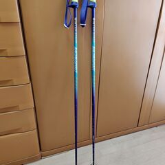 (2/5迄)スキー ストック 122cm