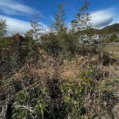 110万！！！キャンプ用地に　鴨川市花房 - 土地販売/土地売買