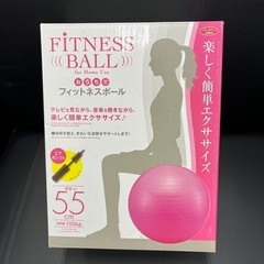 フィットネスボール 55cm 100kg