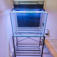 【引渡し者決定】希少60水槽 60×45×45 コトブキレグラス...