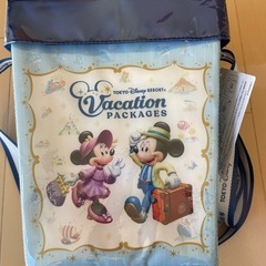 ディズニーポップコーンケース