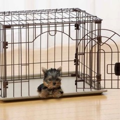 🐕ペットアミゲージの画像