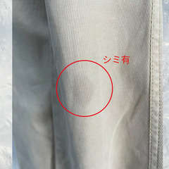 SOLIDO　パンツ　裏地　ストライプ　ベージュD_021の画像