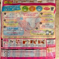 マナーウェア SSSサイズ お出かけ 介護に オムツ 犬用 雌 女の子の画像