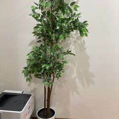 観葉植物　フェイク