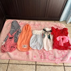 Mダックス 冬夏物沢山 福袋♪  犬 洋服の画像