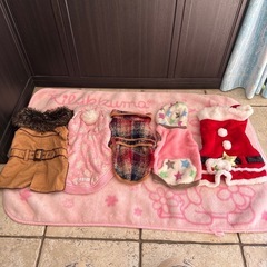Mダックス 冬夏物沢山 福袋♪  犬 洋服の画像