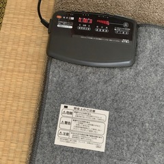 （無料）4畳サイズのホットカーペットの画像