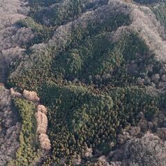 【売却済】山林物件232　埼玉県比企郡小川町