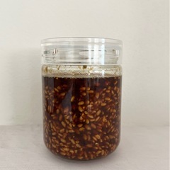 旨み凝縮❗️出汁醤油麹作り🌾 〜発酵で強いカラダを作ろう〜　麹を使った料理の試食付きの画像