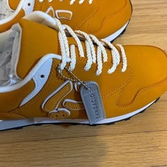 にゅ～ず『オレンジ』 10周年記念モデル