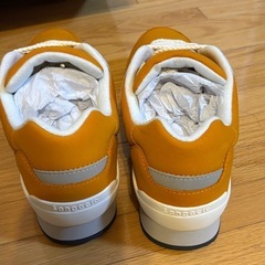 にゅ～ず『オレンジ』 10周年記念モデル