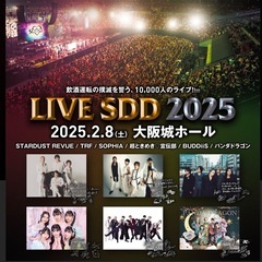 LIVE SDD 2025 ライブチケット 1枚　アリーナ中央席 