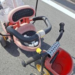 赤ちゃんバギー&家庭菜園の白菜（小）の画像
